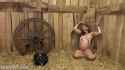 Jessy_Hucow (7)_thumb.jpg
