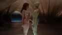Hailuo_Video_Beneath a translucent canopy o_400235340158836743_thumb.jpg