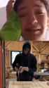 bwerrrrrr_thumb.jpg