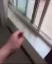 catcrash_thumb.jpg