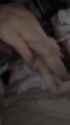 GiganticCreamyLynx_2_thumb.jpg