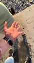 VID_20250715_082457_216_thumb.jpg