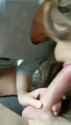 242_thumb.jpg
