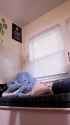 tumblr_sl7c1yTX7w1atnkjt_720(1)_thumb.jpg