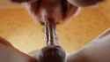 Very Slobbery, very Deep, with a Long Tongue - Blowjob._SladkiSlivki_1080p_thumb.jpg