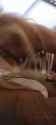 230fe7ae-43df-4581-bb24-3aba5d24be39_thumb.jpg