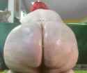 121a_thumb.jpg