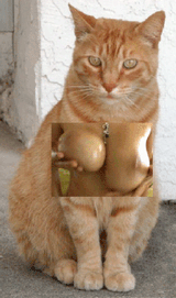 tumblr_m9v2i0gawV1rabscko1_400