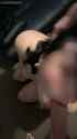 1664078537527482 - bad_thumb.jpg