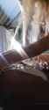 a06ab471-2c02-4afc-a3c0-b17ff5256253_thumb.jpg
