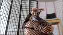 Bitchy Princess Britney - Fishnet Foot Tease - 005_thumb.jpg