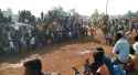Resu gurram no1 hosur bulls jallikattu RIP_thumb.jpg