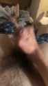 First one_thumb.jpg