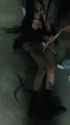 cb110624_thumb.jpg