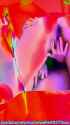 1297_thumb.jpg