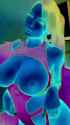 1314_thumb.jpg