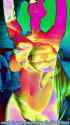 1329_thumb.jpg