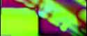 1368_thumb.jpg