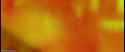 1394_thumb.jpg