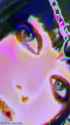1491_thumb.jpg