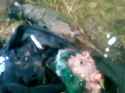 Dead Ukrainian Corpses AFU Skulls Obliterated_thumb.jpg