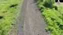 Drone demining in Kharkov - eclphw (audio) (4MB)_thumb.jpg