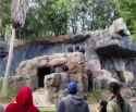WellBehavedChimps_thumb.jpg