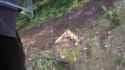 I love nature_thumb.jpg