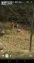 1568357135762_thumb.jpg