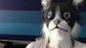 catmandu_thumb.jpg