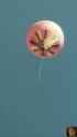 balloon fall_thumb.jpg
