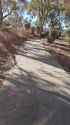 2024-04-17_u_bobgarret02_1c61lrc_flashing_at_my_favourite_park_thumb.jpg
