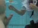 SNYD-033_thumb.jpg