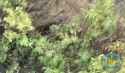 Ukraine infantry group destroyed by Russian drone - Wounded AFU officer an heroes - Ukraine Suicide - iualtm (no audio) (4MB)_thumb.jpg
