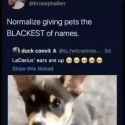 1740893771913992_thumb.jpg