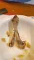 4chan webms (12)_thumb.jpg