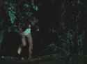 Lynda Wiesmeier - Evil Town - Bouncy Tits_thumb.jpg