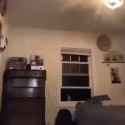 webms from lesser wsg (12)_thumb.jpg