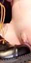Willow_Swans101_720p_20250720_180318_thumb.jpg