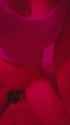 3333_thumb.jpg