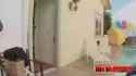 008. Amy Anderssen 1st scene Ever With the White Mamba! - MrStrokesXXX_thumb.jpg