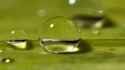 slug compression orb_thumb.jpg
