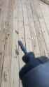 1741412599325191_thumb.jpg