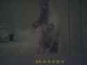 mong6f729cc4-8939-47cf-b2af-bb664aa7a5433_thumb.jpg