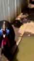 1701232148727212_thumb.jpg
