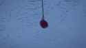 1467731004192 [c7aTTtnDjNE]_thumb.jpg