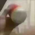 1705643866284169_thumb.jpg