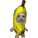 nannercat