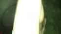 240p.h2641_thumb.jpg