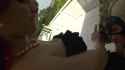 2a11a22e-698b-45d7-a44d-12ce8dbed515_thumb.jpg